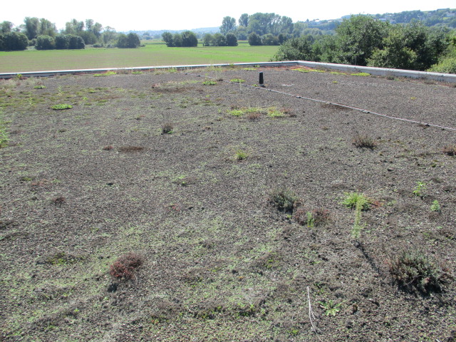 Dachinspektion Bestand (6)